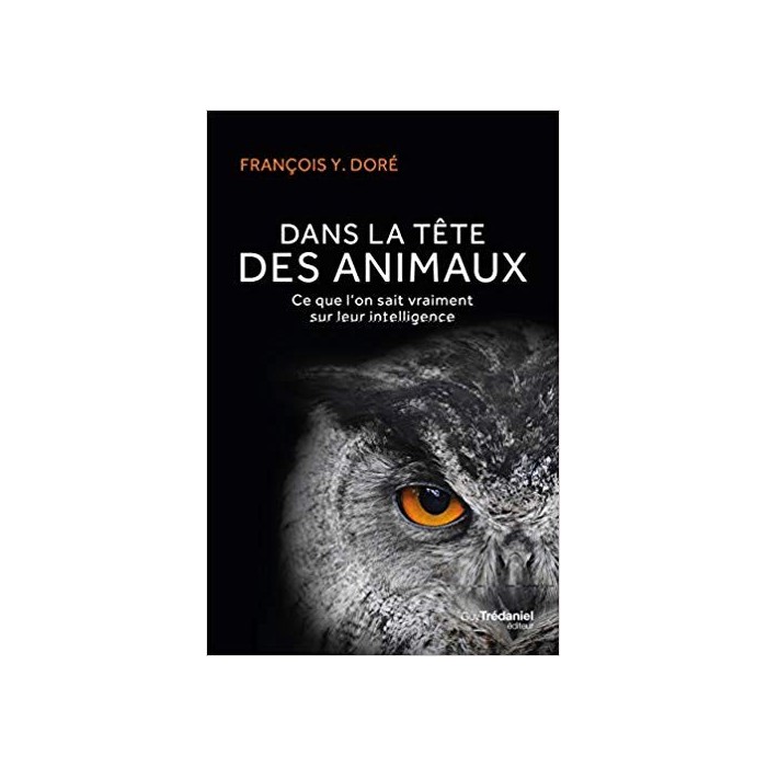 Dans la tête des animaux