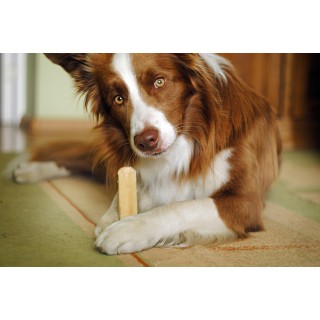 Snacks au lait de yak (Churpi Himalayan Canine Treat)