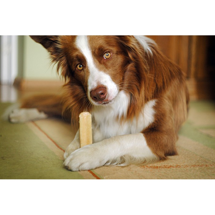 Snacks au lait de yak (Churpi Himalayan Canine Treat)
