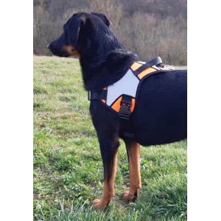 Harnais Animalin® REFLEX PLUS –  2 coloris/5 tailles