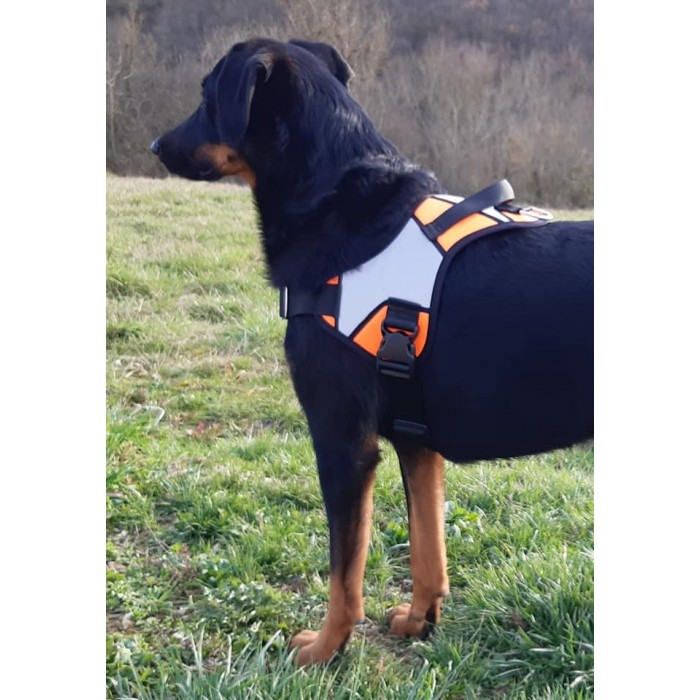 Harnais Animalin® REFLEX PLUS –  2 coloris/5 tailles