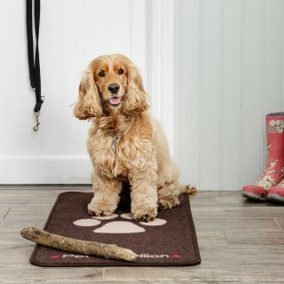 Tapis de Porte (Stop Muddy Paws)