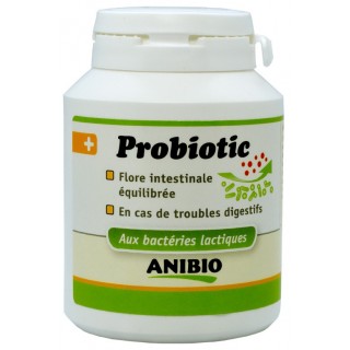 Probiotique ANIBIO aux bactéries lactiques