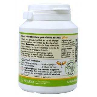 Probiotique ANIBIO aux bactéries lactiques
