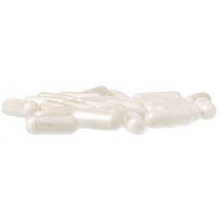 Probiotique ANIBIO aux bactéries lactiques