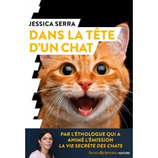 Dans la tête d’un chat