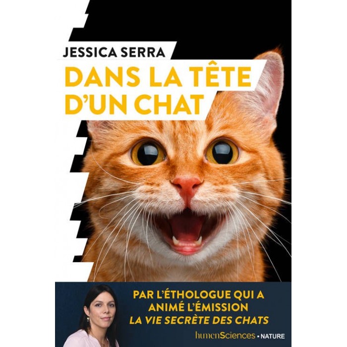 Dans la tête d’un chat