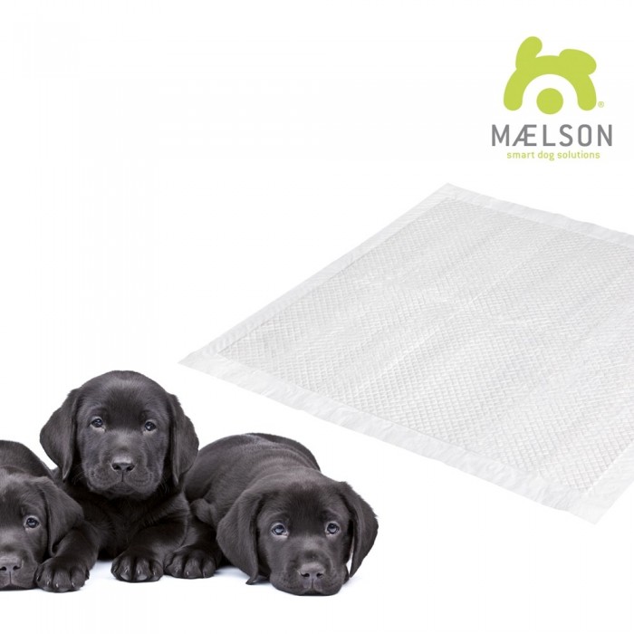 Tapis “éducateur” à séchage rapide (Doggie PAD™ )