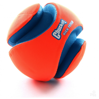 Ballon Kick Fetch 