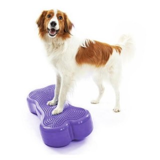 Plate-forme d'équilibre pour chien (DogBalanceBone)