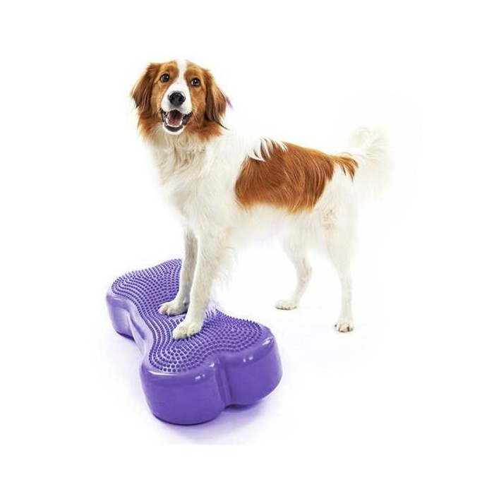 Plate-forme d'équilibre pour chien (DogBalanceBone)