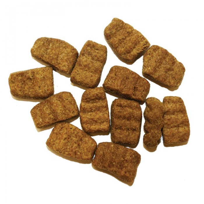 Croquettes Now Fresh Chiens Grandes Races (NOW FRESH™ Adult)