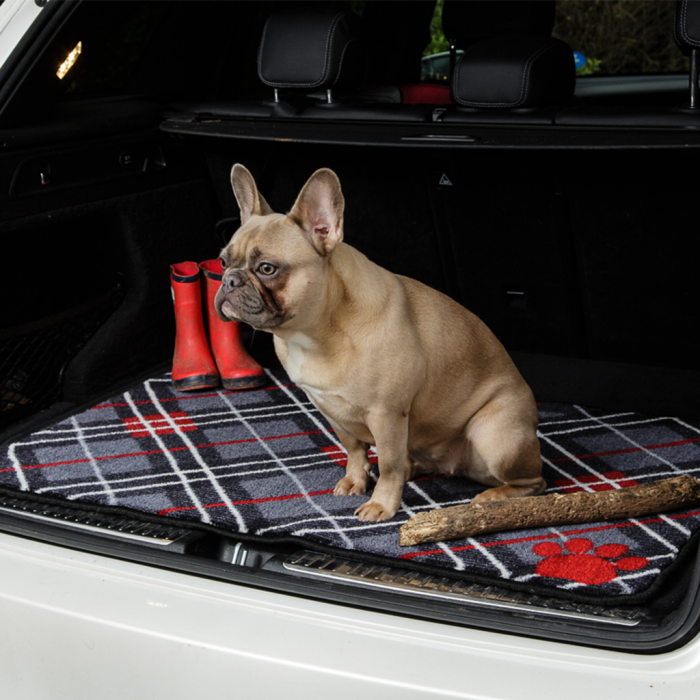 Accessoires pratiques - chien & chiot