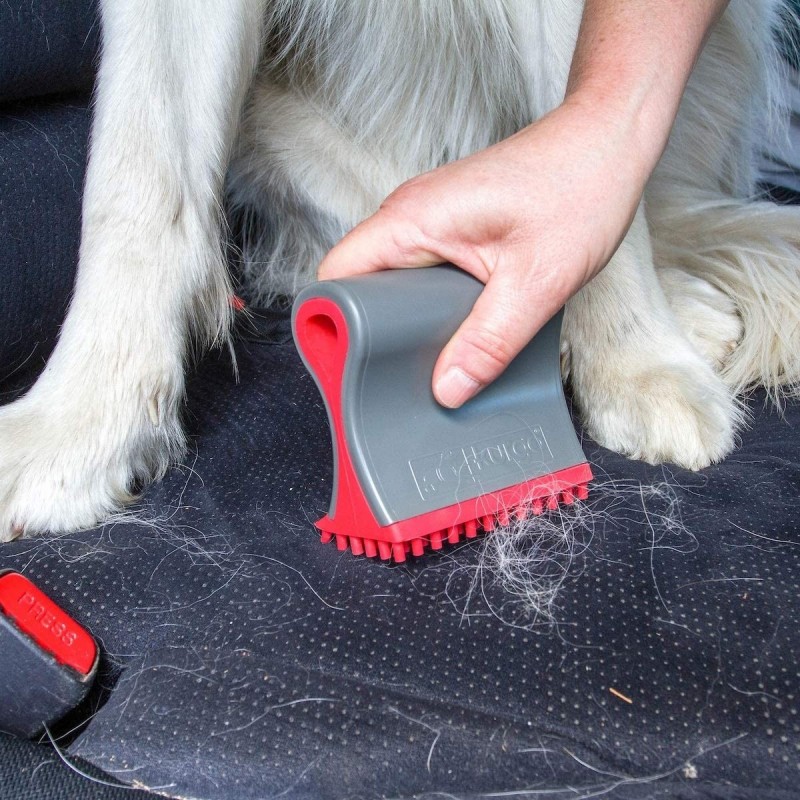 Can-Pro Brosse pour enlever les poils d'animaux (tapis, couverte