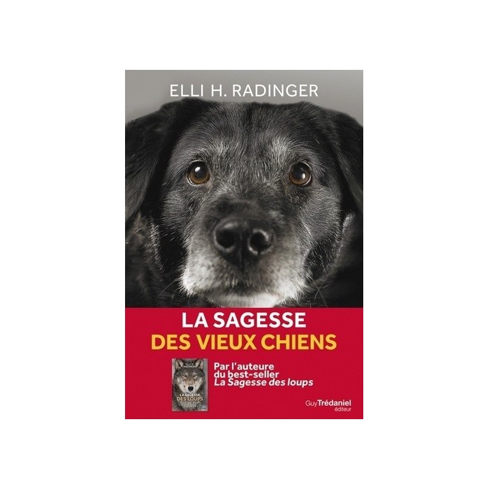 La Sagesse des vieux chiens