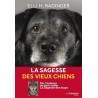 La Sagesse des vieux chiens