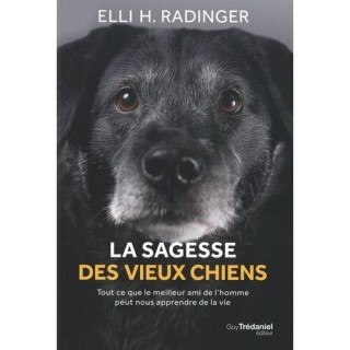 La Sagesse des vieux chiens