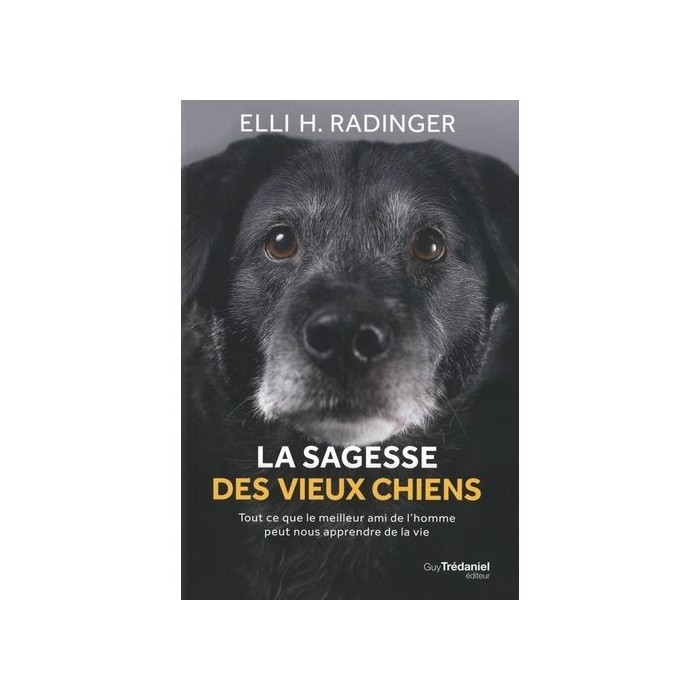 La Sagesse des vieux chiens