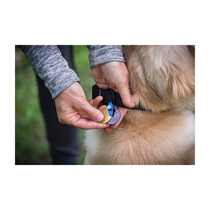 Nouvelle plateforme pour l'achat de médailles pour chiens