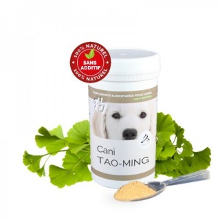 Cani TAO-MING – Cataracte