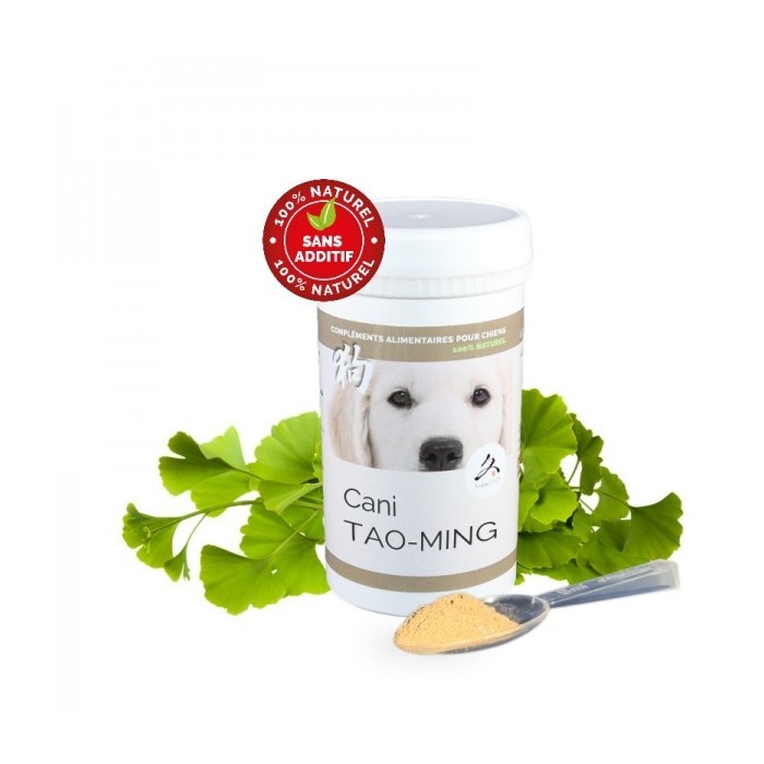 Cani TAO-MING – Cataracte