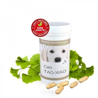 Cani TAO-XIAO – Drainage hépato-rénal
