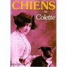 Chiens de Colette