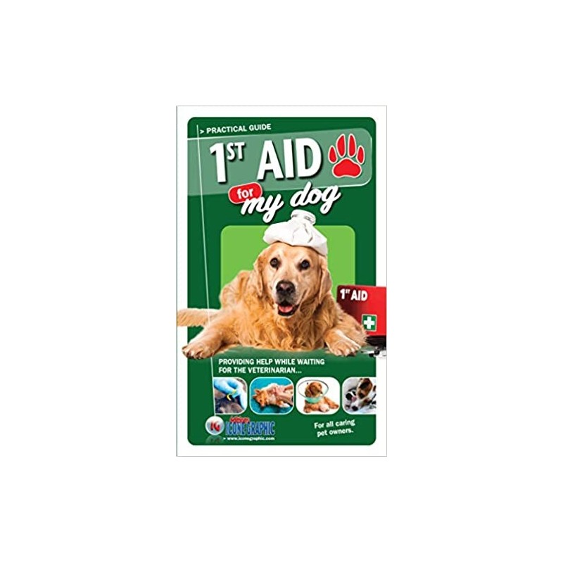 First Aid For My Dog – Practical Guide