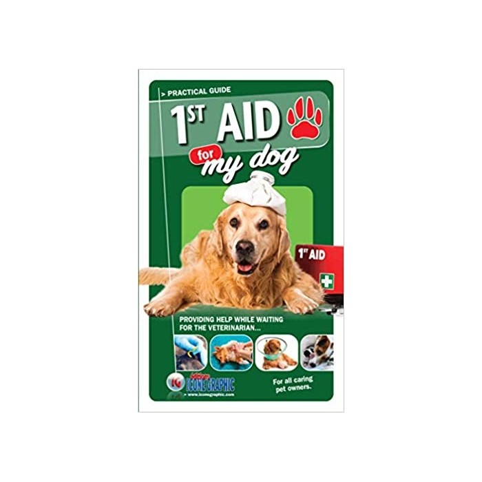 First Aid For My Dog – Practical Guide