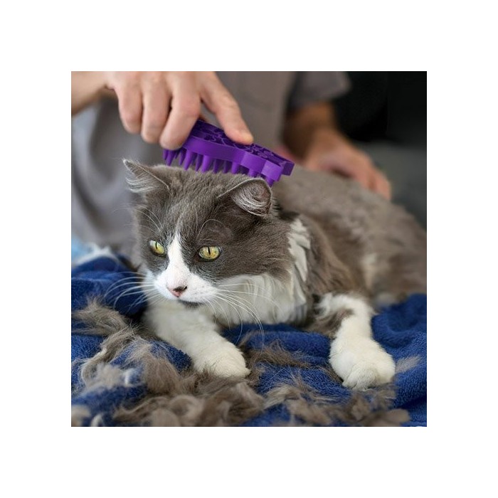 Brosse de massage Zoom Groom (pour chats)