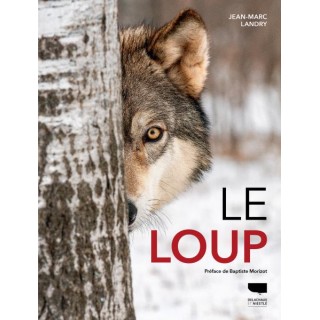 Le Loup (Jean-Marc Landry)