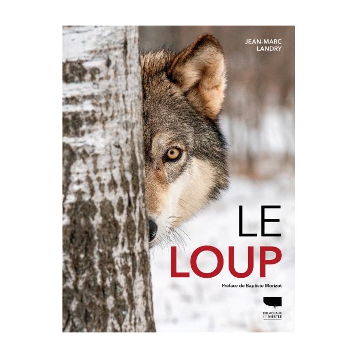 Le Loup (Jean-Marc Landry)