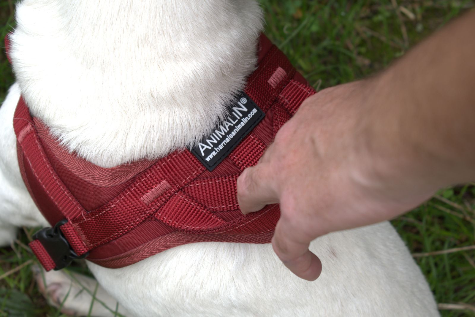 Découvrir la collection