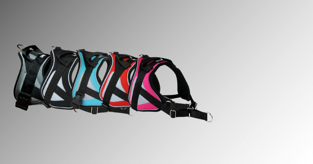 Arrivage des Harnais Animalin® Modèle REFLEX - 5 tailles - 5 coloris